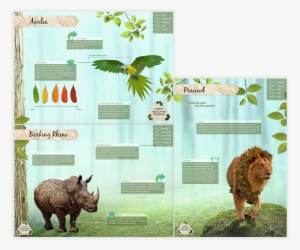 Indian Rhinoceros #3237313