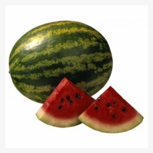 Water Melon Zebra - Watermelon Png #3237363