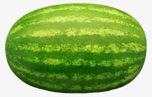 Watermelon - Long Watermelon #3237465 Watermelon - Long Watermelon #3237465