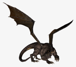 Dragon Vector Realistic #3238551