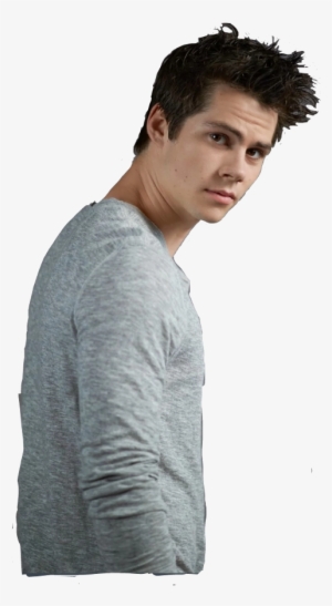 Dylan O Brien No Background #3239787