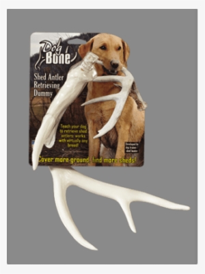 Dog Bone™ Antler Dummy - Dog Bone Shed Dummy Retrieving Antler By Dog & #3240737