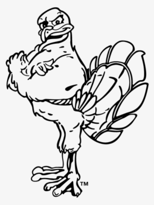 Hokiebird As Outline - Virginia Tech Hokies Vt 2-pack Euro Style Vinyl Oval #3241280 Hokiebird As Outline - Virginia Tech Hokies Vt 2-pack Euro Style Vinyl Oval #3241280