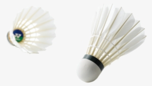 Shuttlecock Yonex #3241999