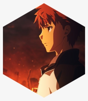 Shirou Emiya - Fate Stay Night Heaven's Feel Presage Flower Vs #3242025