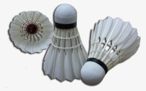 Published October 23, 2015 At 1100 × - Badminton #3242139