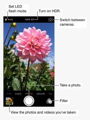 Camera In Photo Mode - Iphone Camera Mode #3243195