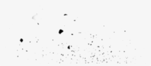 Learn More - Bird #3243870