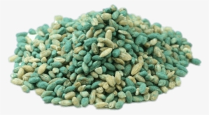 Download - Does Cat Poison Look Like #3243990