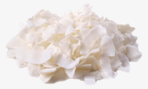 Coconut Flakes - Unsweetened Coconut Chips #3244393