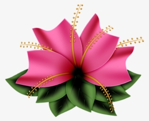 Imagenes Para Diseñar Marcos Para Fotos - Have A Wonderful Wednesday #3244448