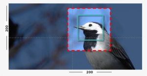 Example Of Fill And Closeness Filter On An Image With - Woodpecker #3245283