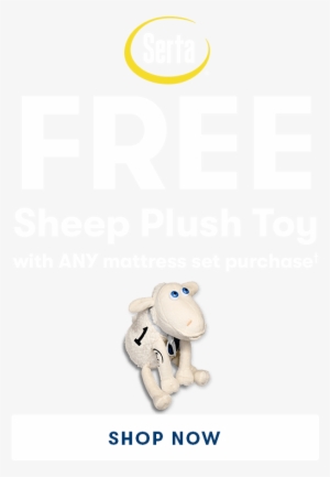 Serta Insider - Free Shipping Worldwide Icon Png #3245413