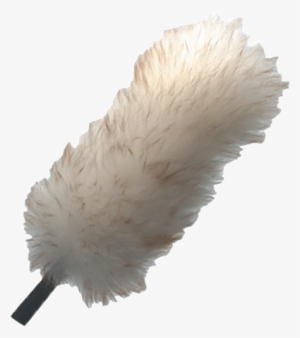 More Views - Transparent Feather Duster Png #3245694