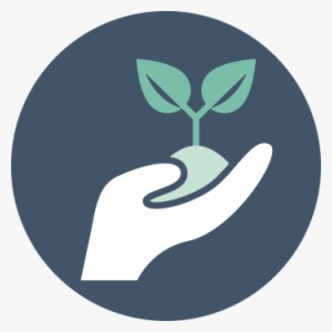 Serta Contacts - Queensland Health #3245794