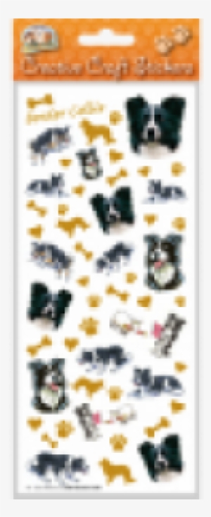 Quick View - Border Collie #3246382