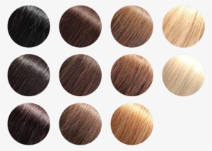 Written Consent Of The Clients Shown - Vector Graphics #3247462