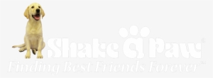 Shake A Paw - Shake A Paw Rescue And Adoption Center #3249095