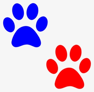 Red And Blue Paws #3249165