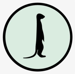 Meerkat Png #3252288