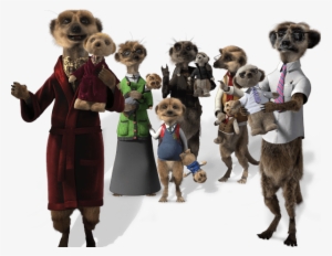0 Ctm Toycollection - Compare The Market Meerkats #3252336
