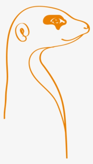 Meerkat #3252341 Meerkat #3252341