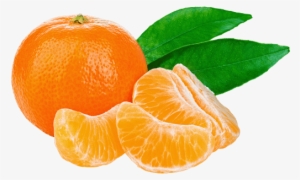 Tangerine - Tangerine Png #3252641