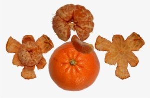 C,juicy,organic,ripe - Tangerine #3253312