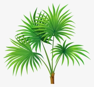 Palm Tree Leaves Clipart #3253690