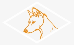 Dingo Distribution - Southern Belle Realty, Inc. #3255168