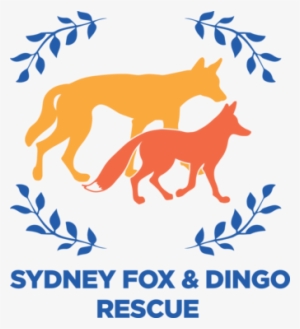 Sydney Fox #3255243