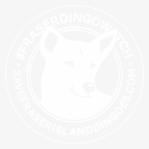 Dingowatchlogo White - Kishu #3255577 Dingowatchlogo White - Kishu #3255577