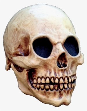 Old Skull Skeleton Horror Mask - Head Skull Halloween Mask #3255583