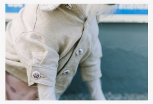 Sandy Bottom Dog Shirt - Pocket #3257159