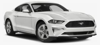 New 2019 Ford Mustang Ecoboost - New Mustang #3257509