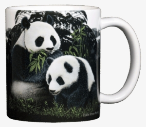 At003 Pandas Bk Mug - Mug #3258178