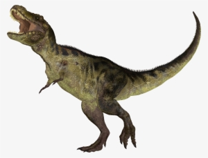 When Dinosaurs Roamed - Dinosaurs Small #3258256