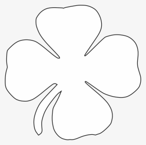 Jetel, Čtyřlístek, Štěstí, Shamrock, Trefoil, Rostlin - Clover Outline Clip Art #3258587