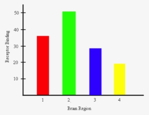 Bar Graph Representing The Amount Of Receptor Binding - Bar Chart #3259298