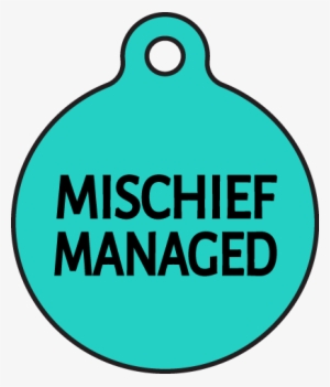 Management #3259708
