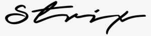 Stixsig - Calligraphy #3260158