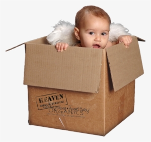 Baby In Shipping Box #3260295