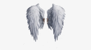 Angel Wings Png Photo - White Angel Wings Png #3261297