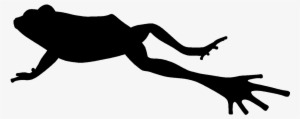 Silhouette Of Jumping Frog - Jumping Frog Png #3261687