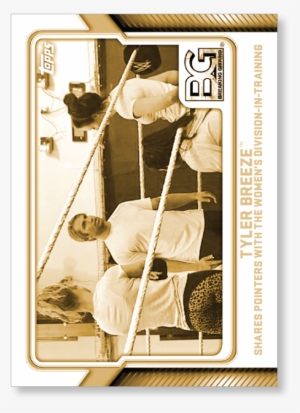 Tyler Breeze - Wwe #3262758