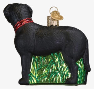 Kiwi Glass Ornament By Old World Christmas #3266915 Kiwi Glass Ornament By Old World Christmas #3266915