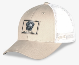 Black Lab Hat - Gills-n-game Hat #3267175