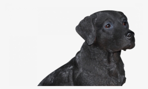 Brilliant Lighted Christmas Lawn Decorations Png Black - Black Labrador Real Life Resin Ornament By Vivid Arts #3267219