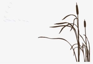 Buscar Con Google - Reed Silhouette #3267319