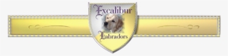 Excalibur Labradors - Labrador Retriever #3267591